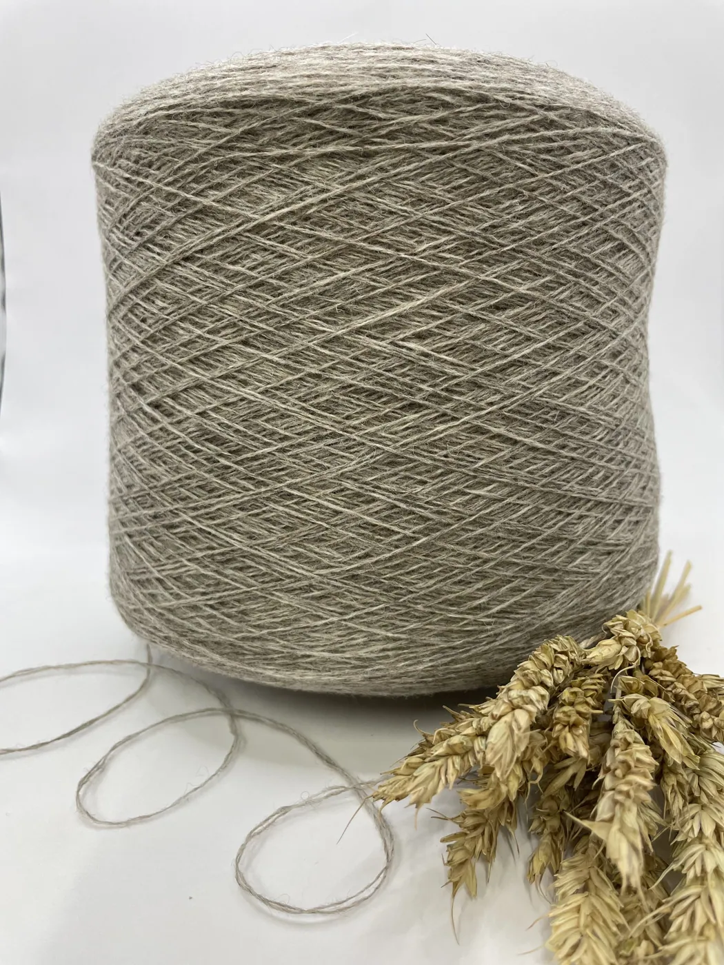 ALPACA 2/14