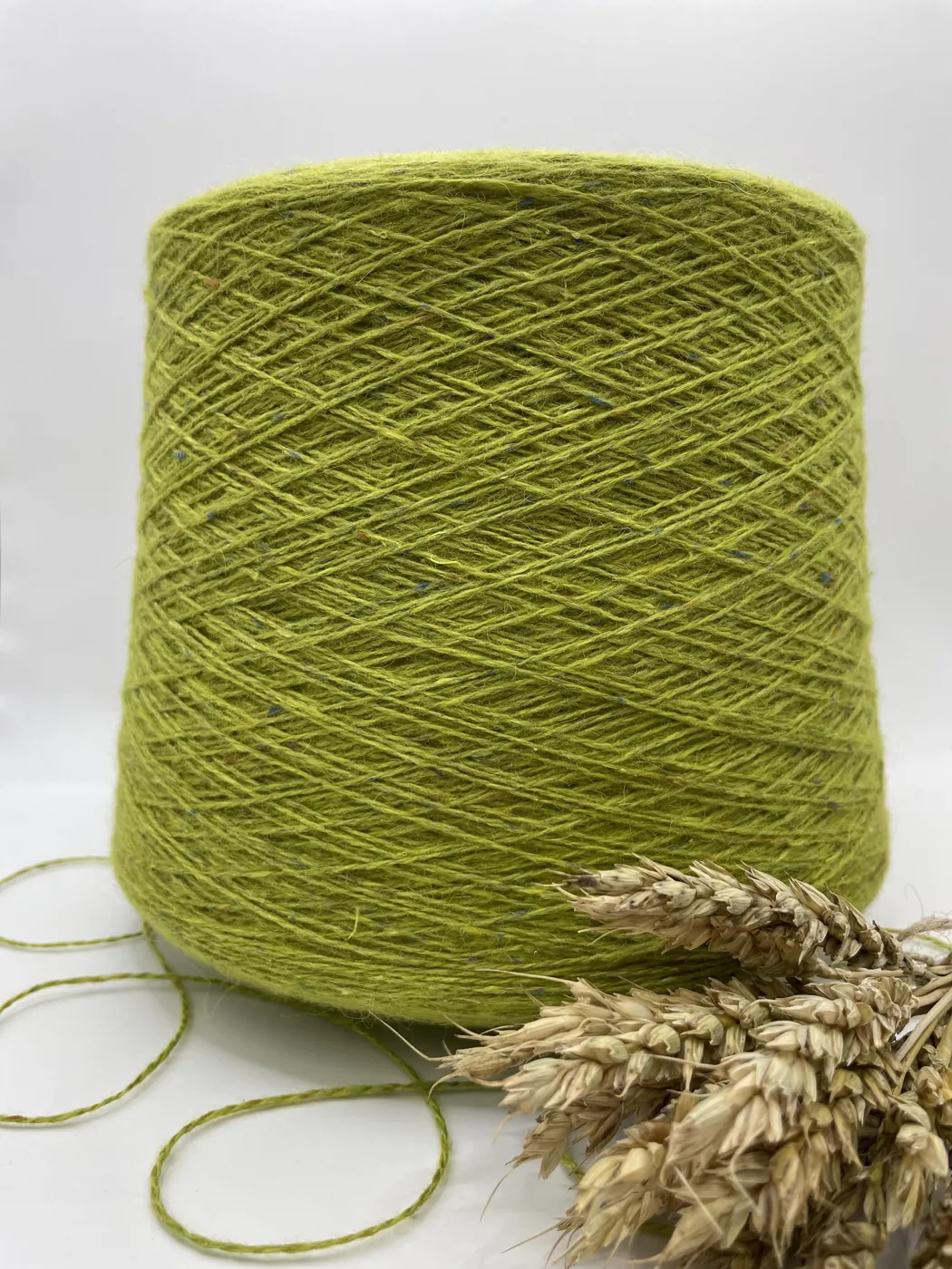 SILVIA TWEED 2/11